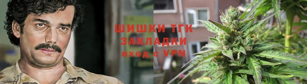 тгк Горно-Алтайск
