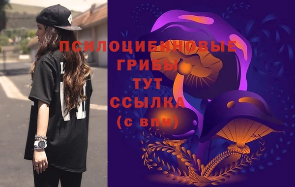 тгк Горно-Алтайск